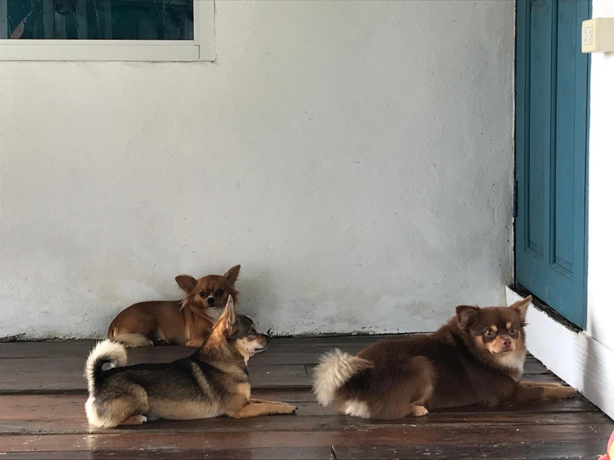 Ban Narai River Guesthouse 치앙마이 외부 사진